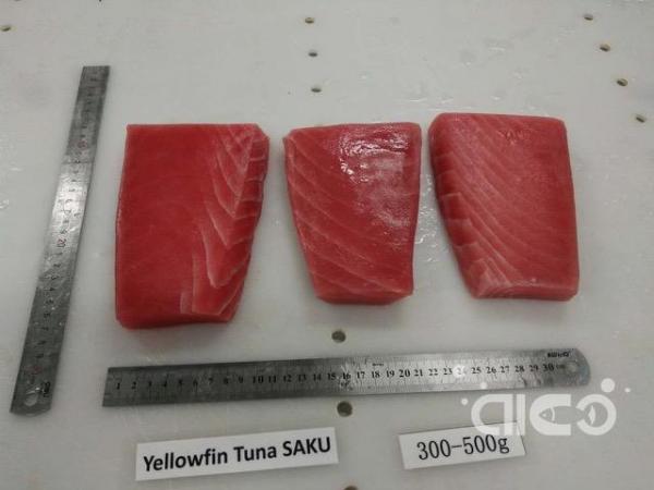 Frozen Premium Yellowfin Tuna Saku (Tapered cut)