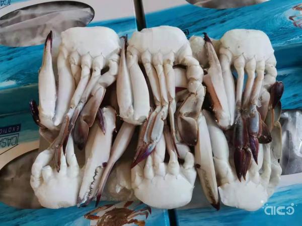 Frozen Blue Swimming Crab Half Cut