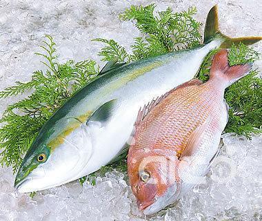 8 Essential Criteria to Judge the Freshness of a Fish