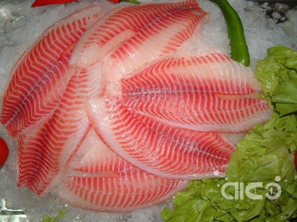 Pangasius snatches the tilapia market, but the prospect of Chinese tilapia is still bright