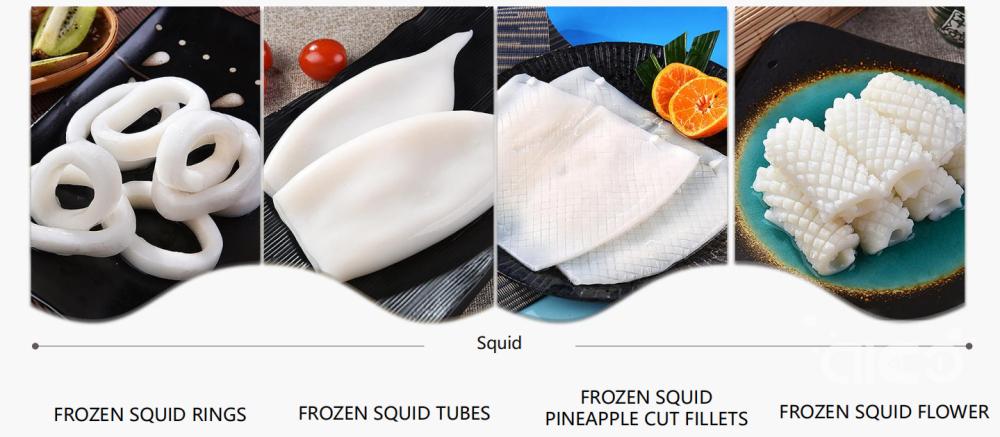 Squid products_编辑.jpg