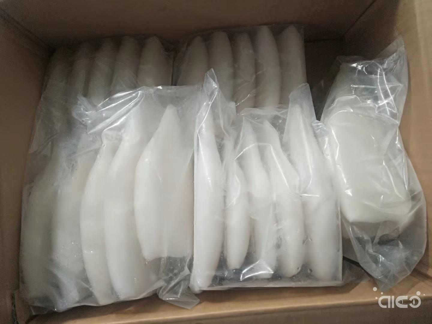 Squid tube 1kg bag.jpg