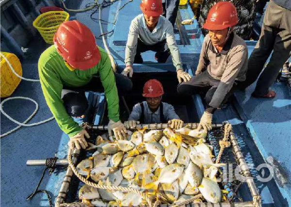 The price of Golden Pompano continues to soar!