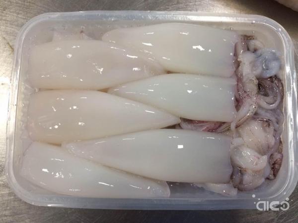 Frozen Loligo Squid, Tube+Tentacle