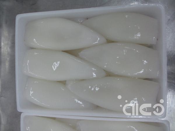 Frozen Loligo Squid Tube