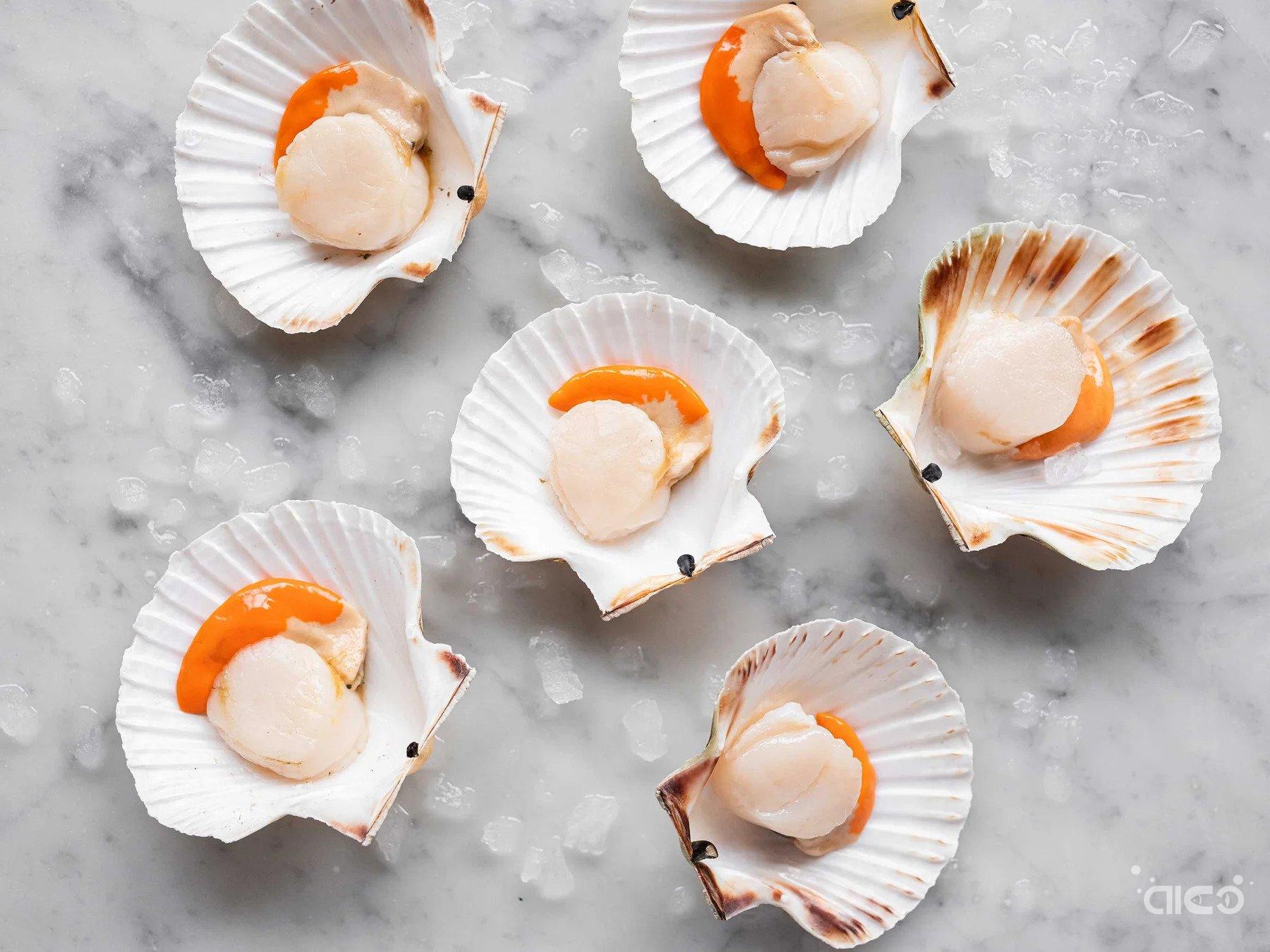 halfshell scallop.jpg