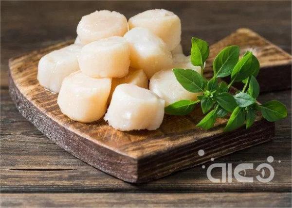 Processing Technology of Frozen Scallop Meat